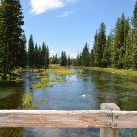 Big Springs and Johnny Sack’s Cabin