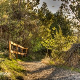 Cress Creek Trail